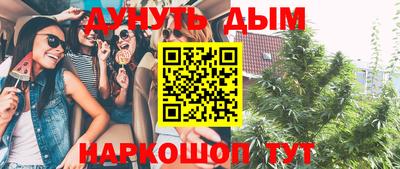 прущие грибы Среднеуральск