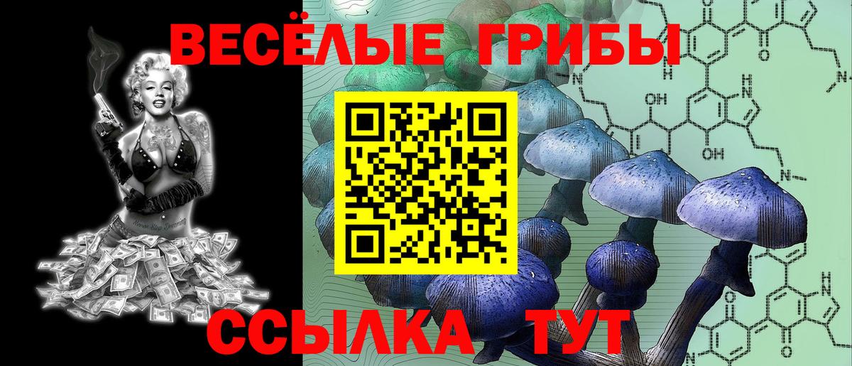 Псилоцибиновые грибы мицелий  наркотики  Псилоцибиновые грибы прущие грибы  Лангепас  Вход с VPN 